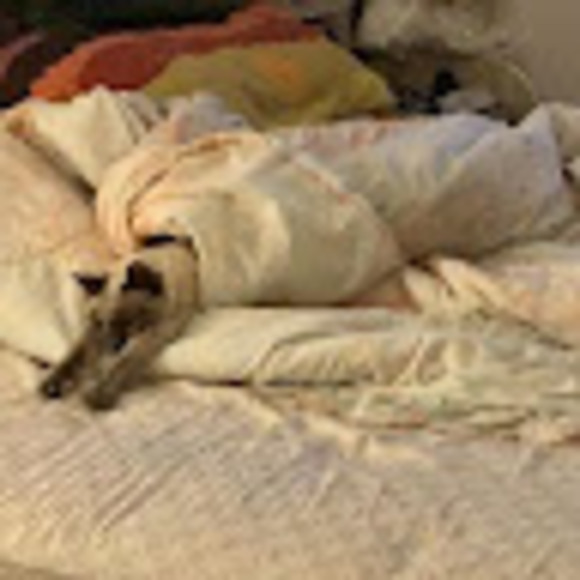 Meet your Posher, Mowmui - Picture 1 of 1